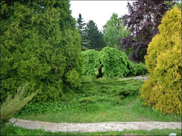  -  Сад батанічны. 