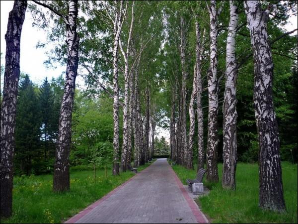  -  Сад батанічны. 