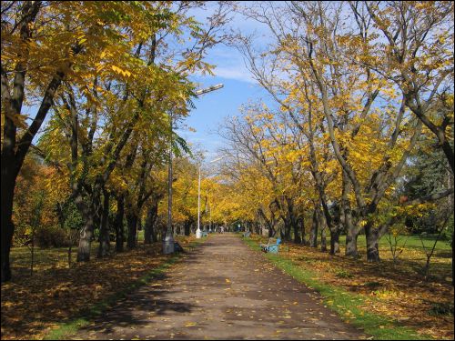  -  Сад батанічны. Алея