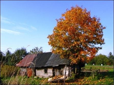 Цюкшы. Краявіды 