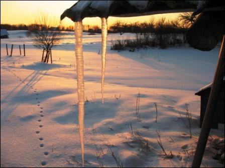 Цюкшы. Краявіды 