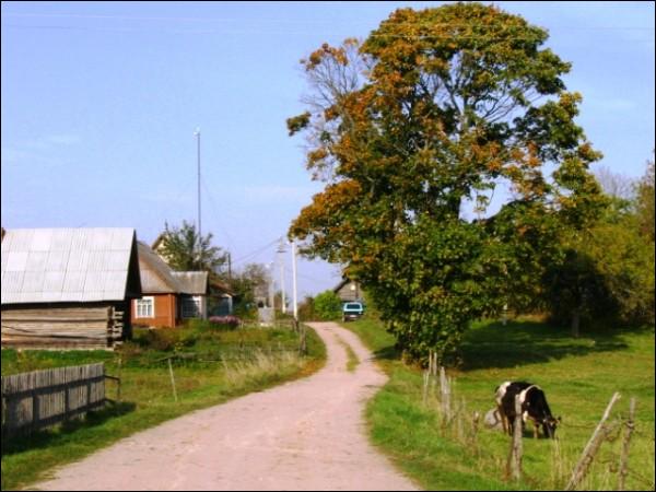 Цюкшы. Краявіды 