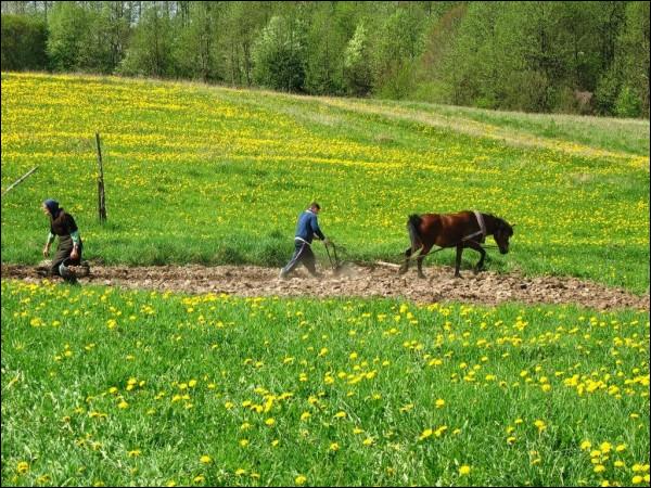 Цюкшы. Краявіды 