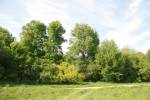Pohost.  Park dworski 