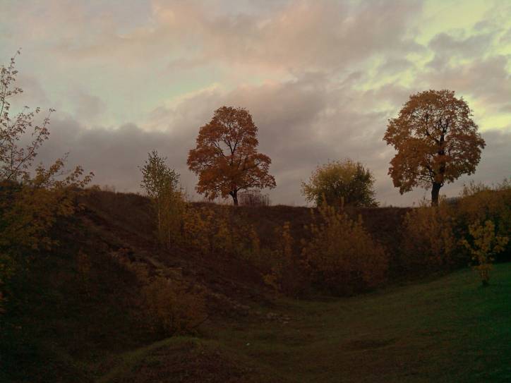 Краснае. Гарадзішча 