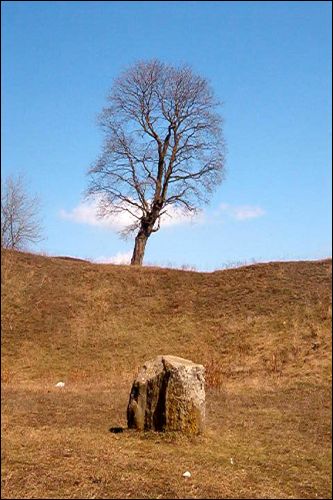 Краснае. Гарадзішча 