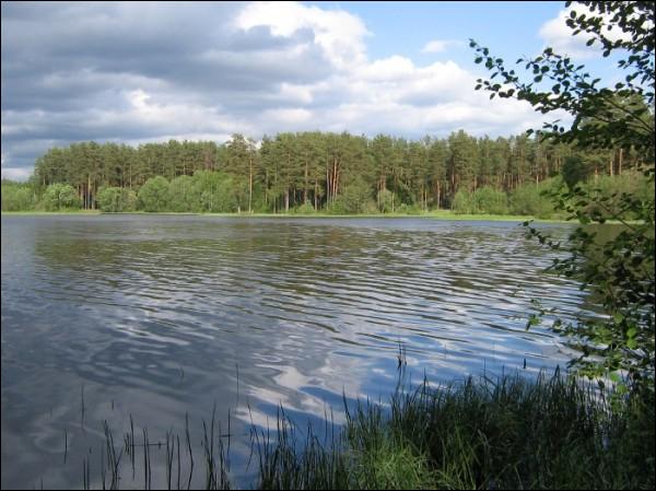 Radaškovičy. Landscapes 