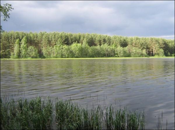 Radaškovičy. Landscapes 