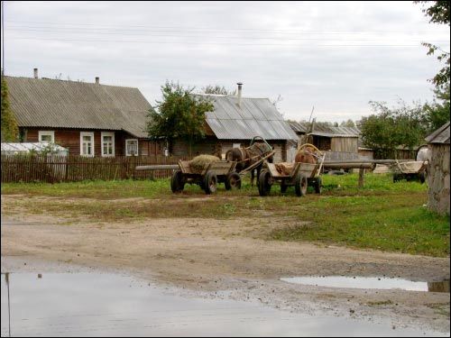 Daŭhinava. Landscapes 