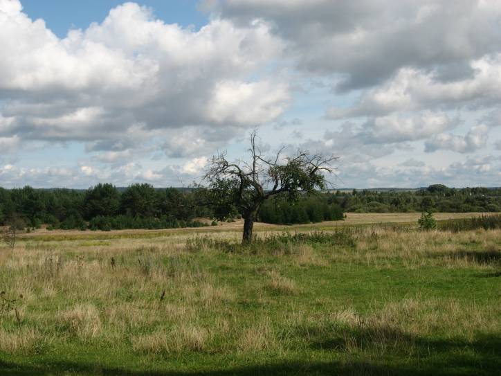 Łaŭski Brod (Truskavičy). Manor 