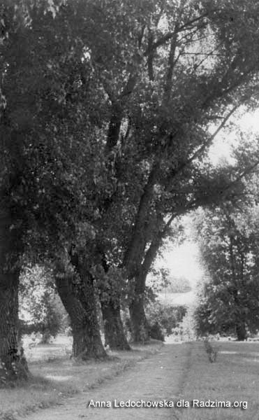 Kuncewszczyzna. Dwór Wojniłłowiczów