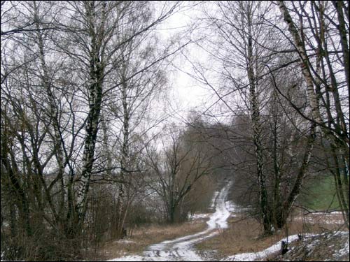 Zasvir. Landscapes 