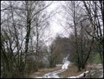Zasvir Landscapes 