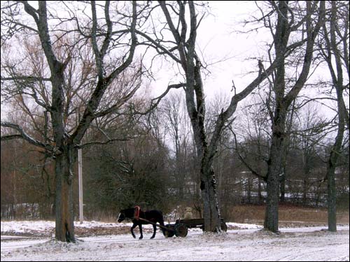 Zasvir. Landscapes 