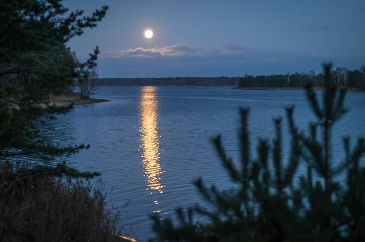 Сосенка. У вёсцы 