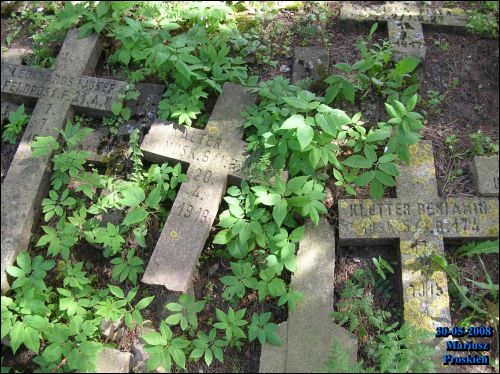 Narocz (Kobylnik). Cmentarz wojenny z I wojny światowej 