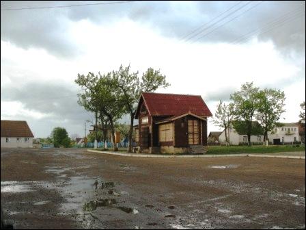Narocz (Kobylnik). W miasteczku 