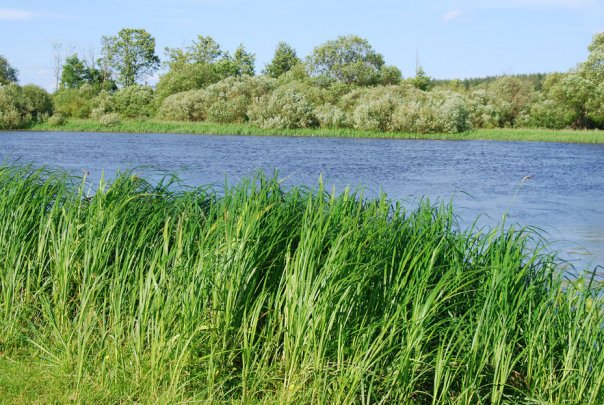 Беразіно. Краявіды 