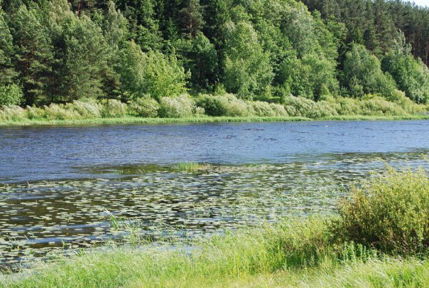 Беразіно. Краявіды 