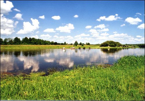 Беразіно. Краявіды 