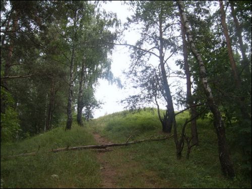  - Landscapes . 