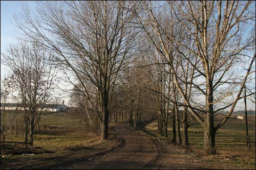 Sadovaja (Blačyn). Landscapes 