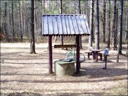 Доросино. В деревне 