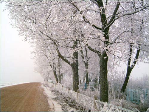  - Краявіды . Дарога да Дунайчыц
