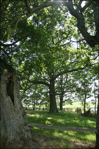 Zavušša. Landscapes 