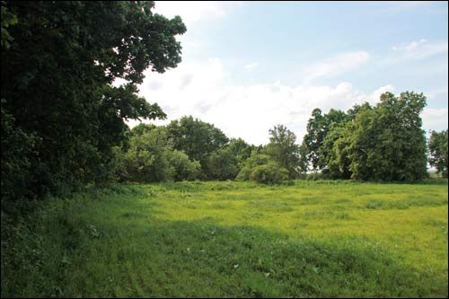 Малевa. Прысядзібны парк (рэшткі)
