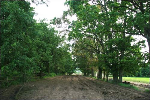 Малевa. Прысядзібны парк (рэшткі)