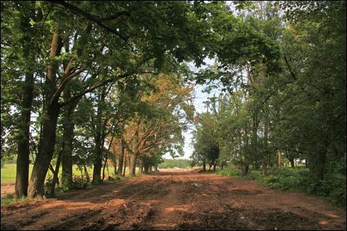 Малевa. Прысядзібны парк (рэшткі)