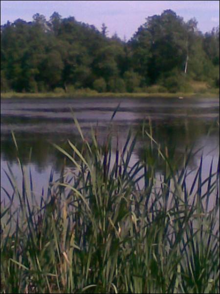 Прудзішча. Краявіды 