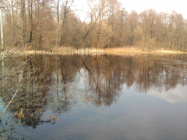 Прудзішча. Краявіды 