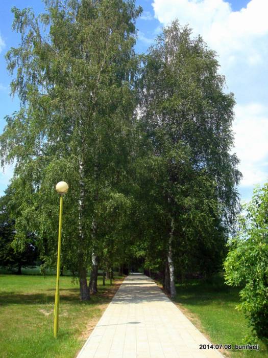 Дальва.  Мемарыяльны комплекс «Дальва»