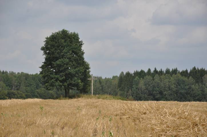 Sawicze. Cmentarz rodzinny Woyniłłowiczów