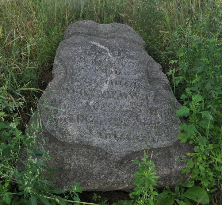  - Cmentarz rodzinny Woyniłłowiczów. 