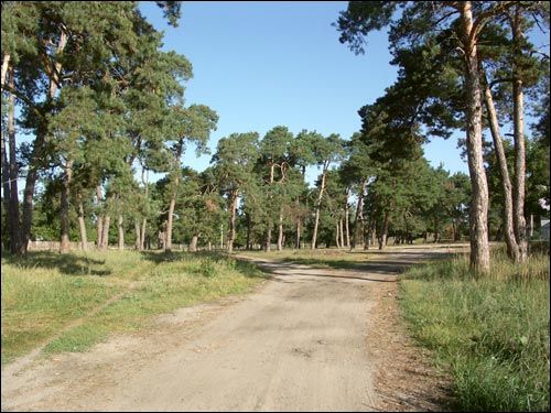 Damačava. Landscapes 