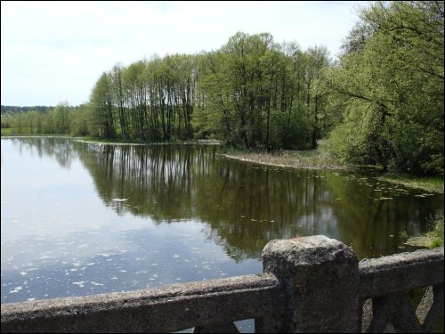 Старае рэчышча р.Буг Дамачава. Краявіды