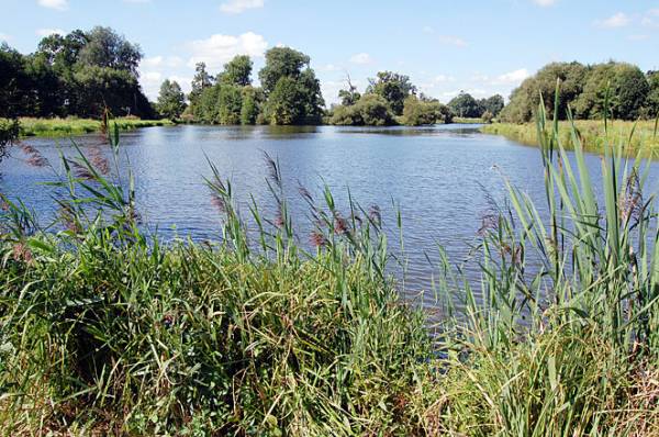  - Краявіды . Палацава-паркавы комплекс Ашторпаў-Гарцінгаў пачатку XIX ст. Стаў