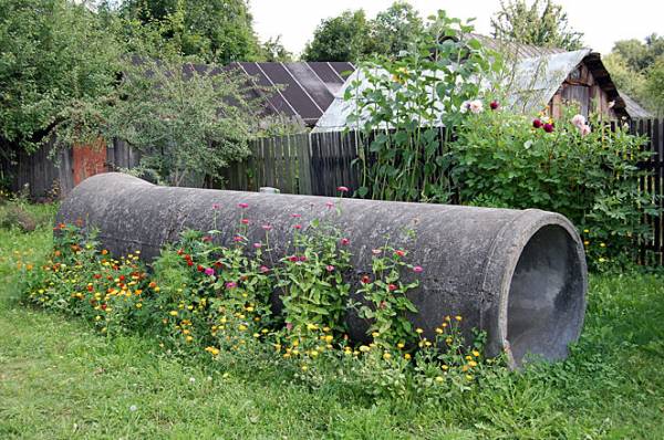  - Краявіды . Кветнік ля старой трубы
