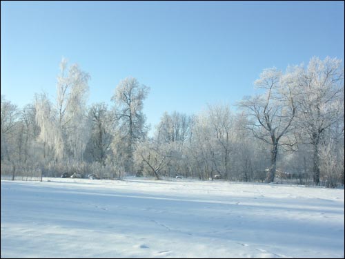  - Краявіды . Куток парку