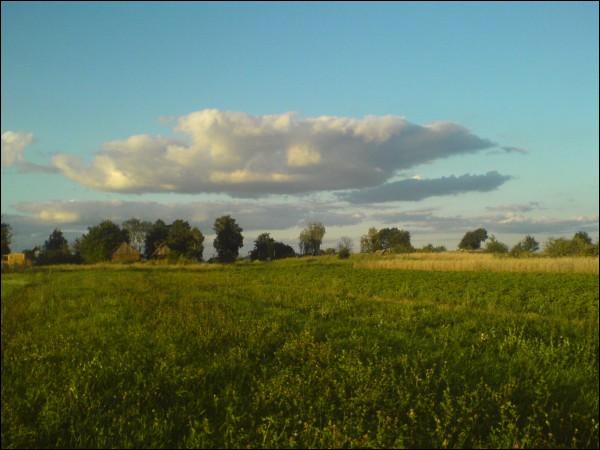  - Краявіды . 