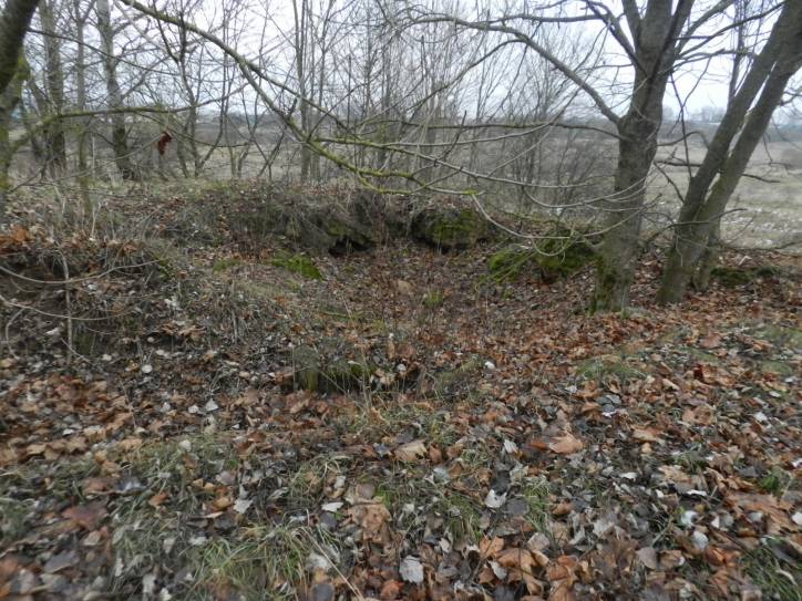 Kamień. Site of ancient castle 