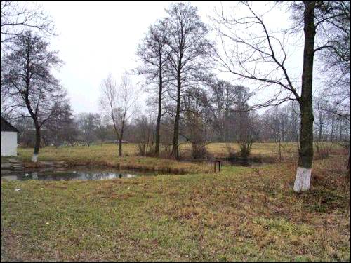 Jackavičy. Manor park 