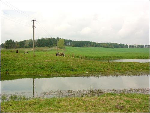  - Landscapes . 
