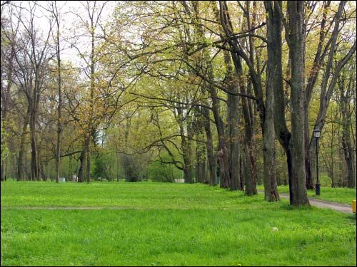 Niasviž. Park Old