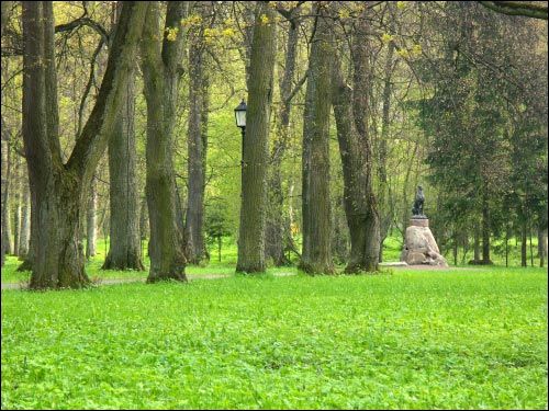 Niasviž. Park Old
