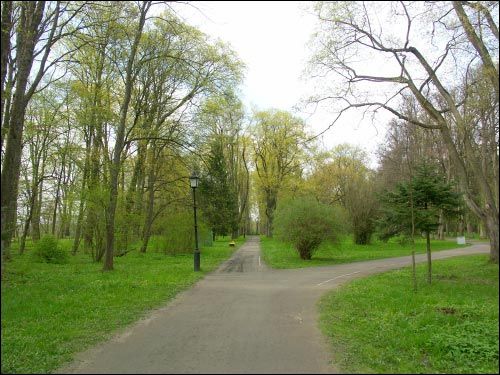Niasviž. Park Old