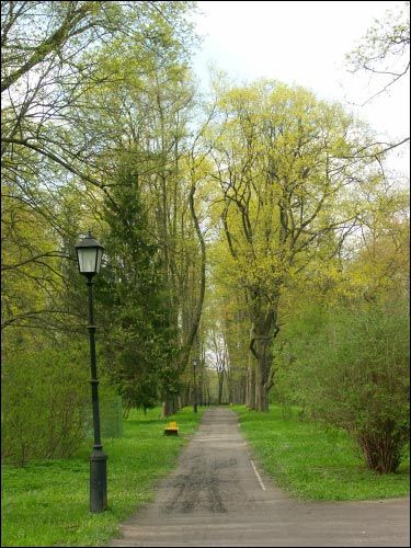 Niasviž. Park Old